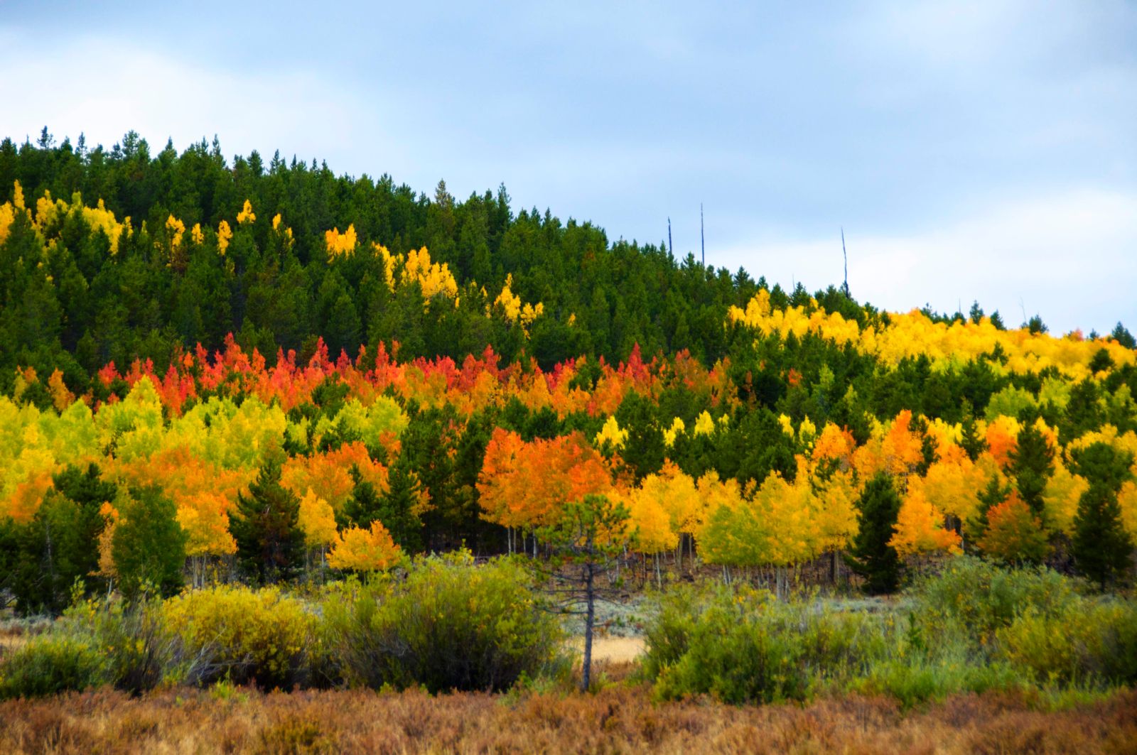 Fall Colors Flaming Gorge